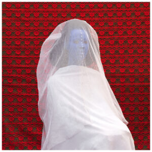 “The Morning Bride”, archival digital print, 31.5" x 31.5"